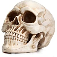 Readaeer Calavera Resina Decoración de Halloween Cráneo Humano Modelo